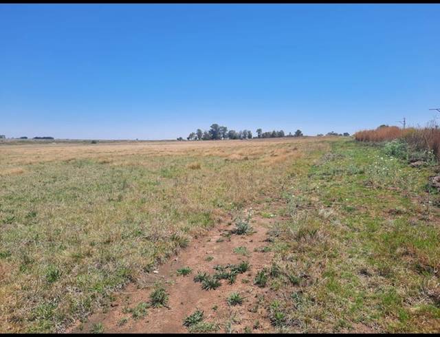 FARM FOR SALE IN RAYTON